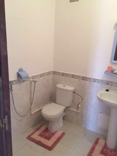 Apartamento Appartement En Location