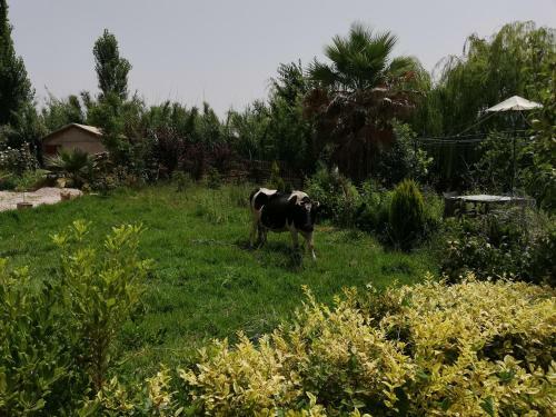 Agroturismo La Perle D'ifrane