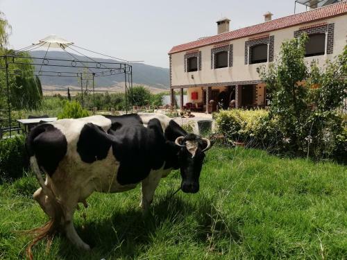 Agroturismo La Perle D'ifrane