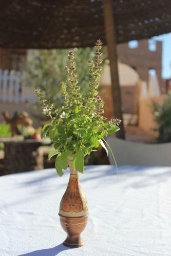 Bed & Breakfast Riad Hiba