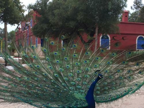 Hostal Camping & H�tel Le Calme