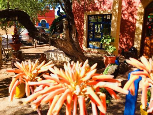 Hostal Camping & H�tel Le Calme