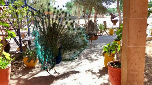 Hostal Camping & H�tel Le Calme