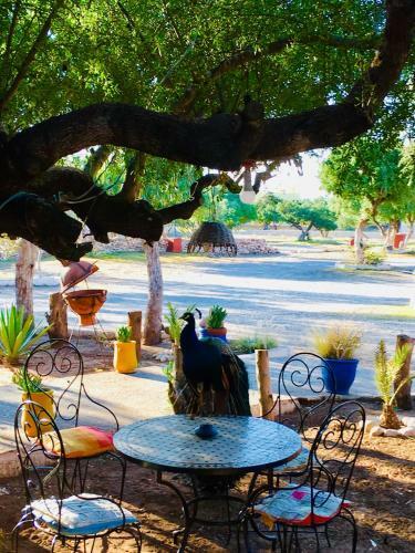 Hostal Camping & H�tel Le Calme