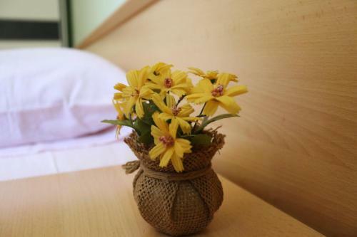 Hostal Green Olive Guesthouse