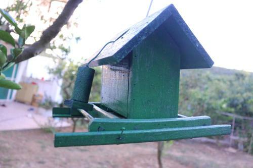 Hostal Green Olive Guesthouse