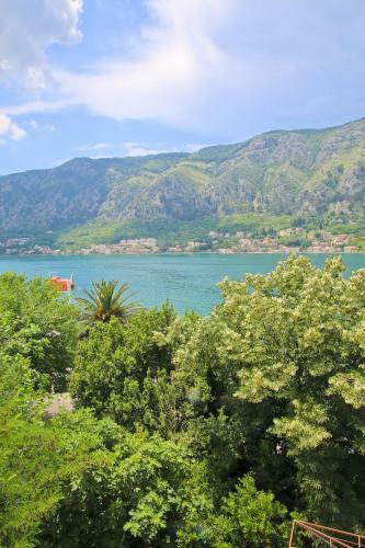 Apartments Dorothea Lux