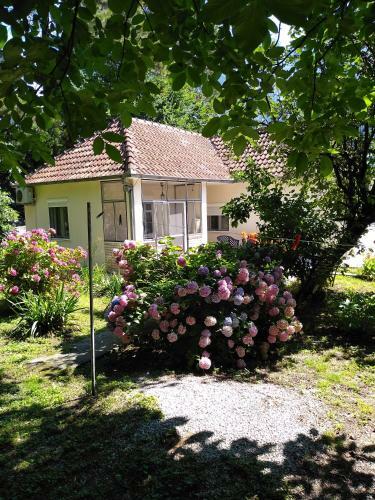Flower Apartment
