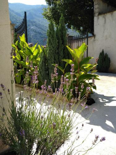 Flower Apartment