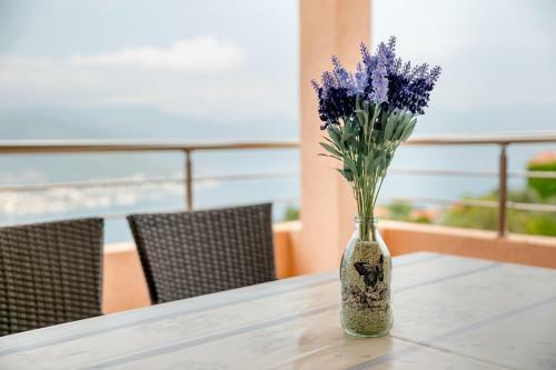 Apartments Mitrovic