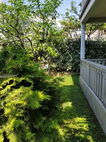 Apartments Milicic