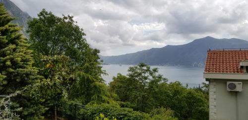 Apartamento Green Village Kotor
