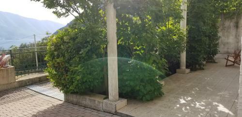 Apartamento Green Village Kotor