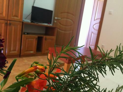 Apartamento Friendly House