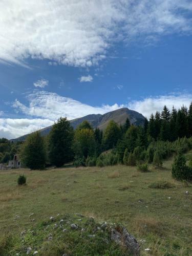 Holiday Homes Durmitorski Gaj