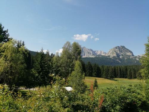 Hostal Apartman "teodora"