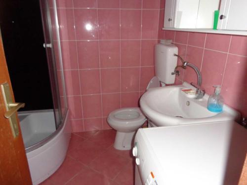 Apartment Karadzica 1