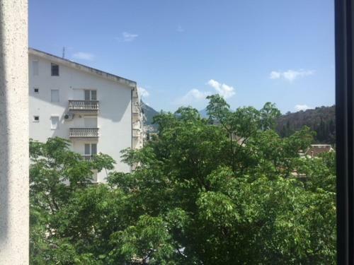 Apartment Cara Lazara