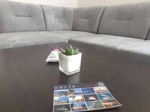 Apartment Montenegrino