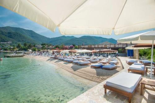 Apartment Montenegrino