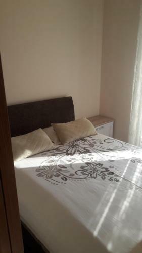 Apartment Montenegrino