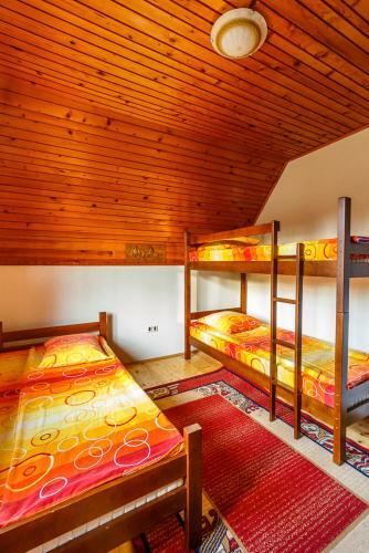 Hostel Highlander