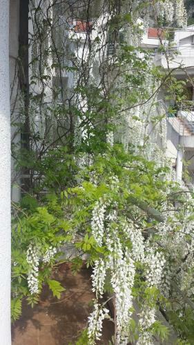 Roman Gardens Studio Apartment