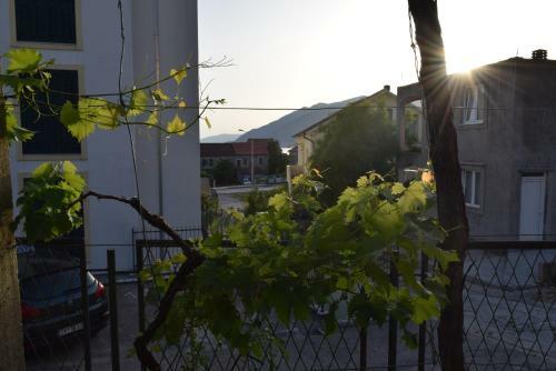Apartment S&m