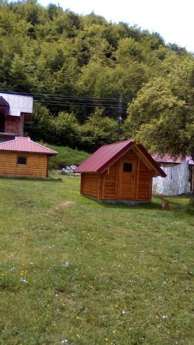 Kamp ?cepanovic