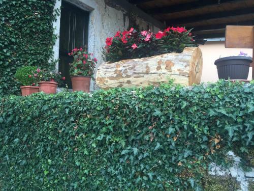 Posada Old House Nilovic