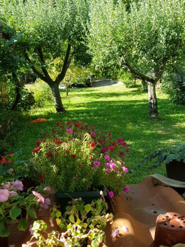 Posada Old House Nilovic