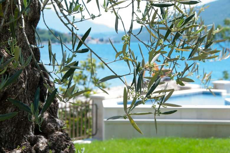 Boutique Hotel Kredo