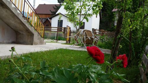 Apartman Tamara
