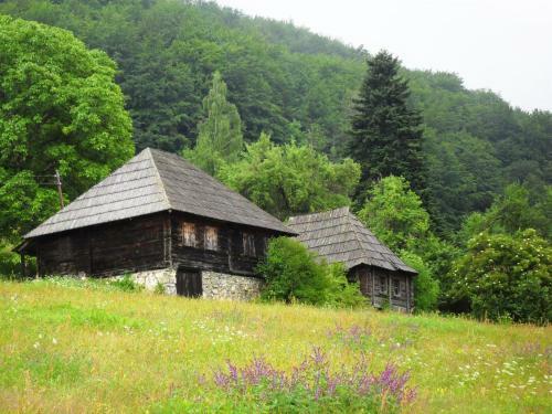 Bed & Breakfast Kraljska Koliba - Kralje's Cottage