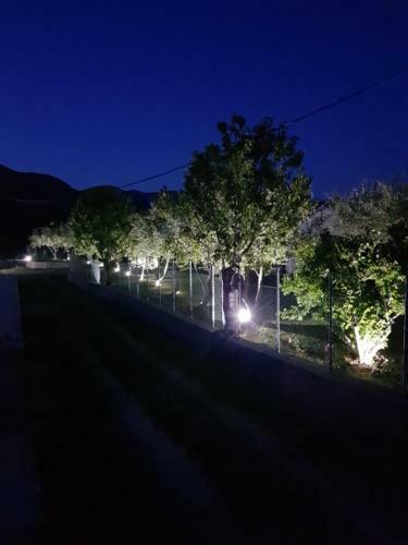 Vacation Home Masa