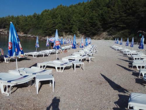 Hostal Guest House Tatiana