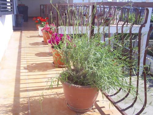 Apartmani Dado