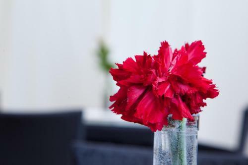 Hostal Guest House Pasha