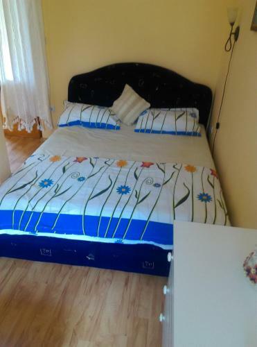 Apartamentos Romana