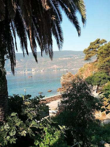 Apartman Na Obali