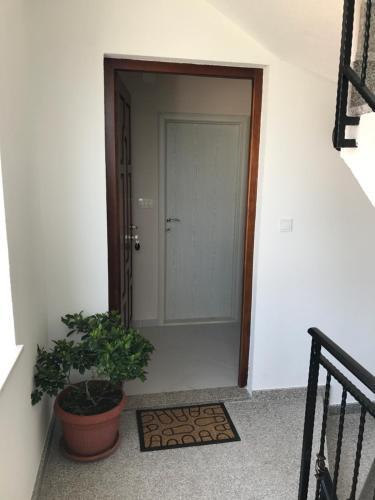 Apartment Lu?a