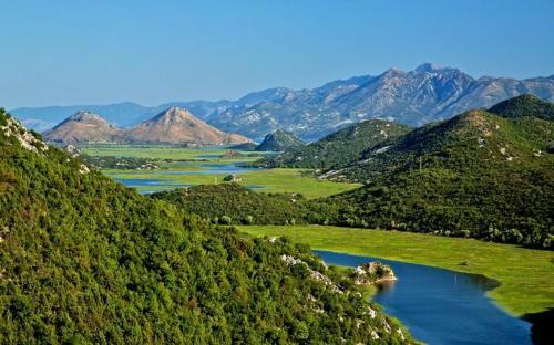 Apartman Sofranac