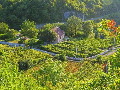 Agroturismo Estate & Winery San Duyevo