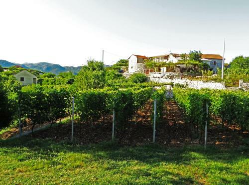 Agroturismo Estate & Winery San Duyevo