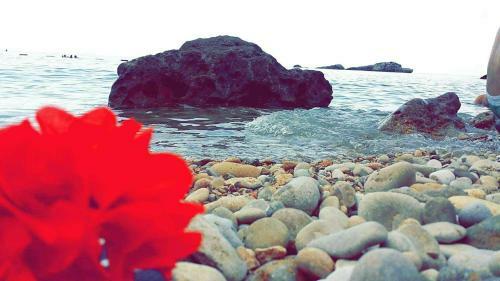 Hostal Apartments Gazi