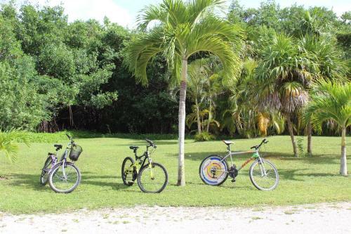 Bed & Breakfast Puerta Del Mar Cozumel