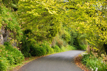Waitomo Caves Hotel