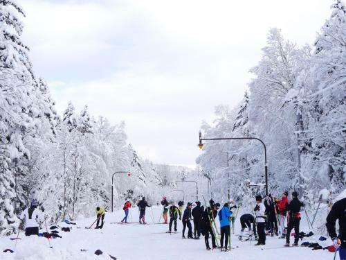 Hotel Shirogane Park Hills