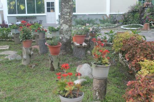Hotel Jabez Resort Kundasang