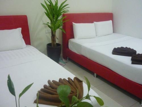 Hotel Paka Inn